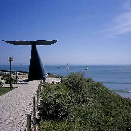 Real Oeiras Paço de Arcos